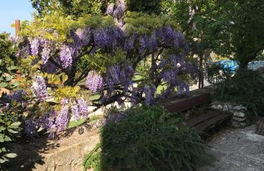 Apartments Marina - Foto 3