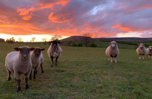Cuthbert Hill Farm - Foto 50