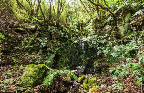 Casa da Cascata - Photo 26