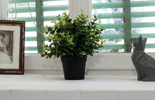 JOIVY Giuliana Home - Foto 20