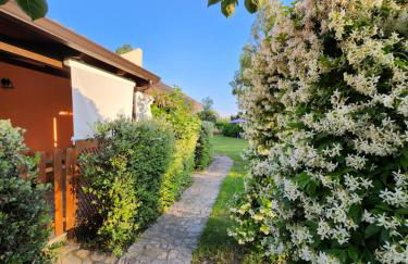 Aristea Case Vacanza - Foto 8