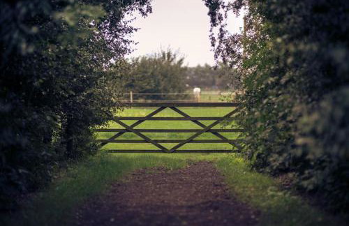 Unique glamping experience near Ely & Cambridge - Foto 35