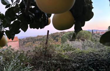 Casa antica Maremma Toscana - Foto 29