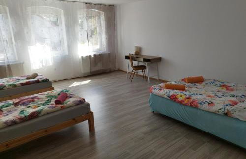 Agroturystyka Puchatek - Foto 3