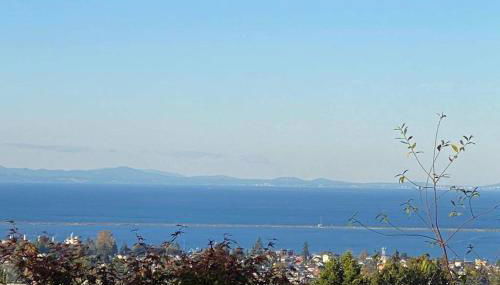 Crash Pad Bed and Breakfast - Foto 1