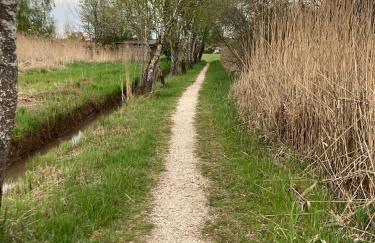 Feriennest Chiemseeglück - Foto 8