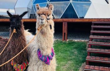 Monte dos Domos - Photo 7