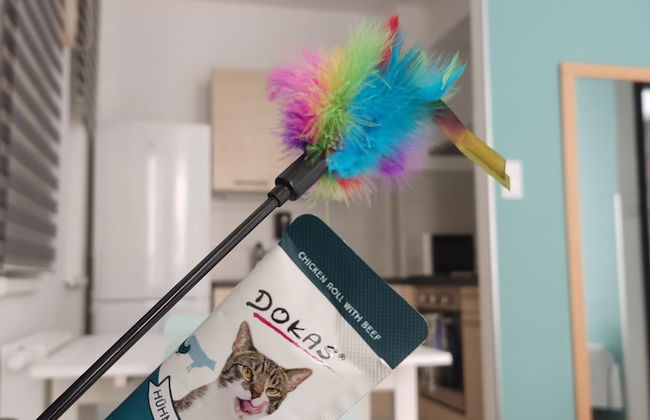 Corvin Center Suites - Foto 19