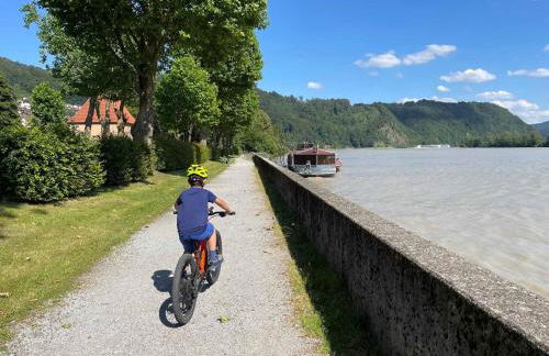 Ferienwohnung Hofmann mit Balkon und Donaublick - Foto 11