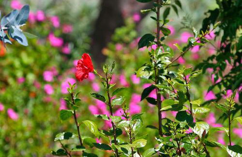 Casa Esther - Foto 28