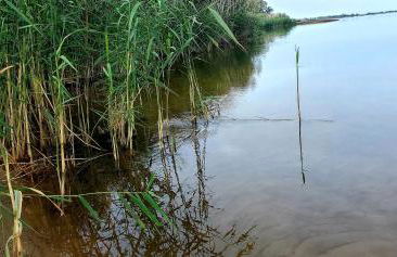 Haus Oderbruch - Photo 9