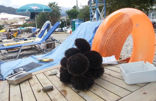 Holiday and Business Home - Foto 7