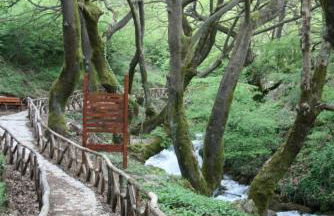 Alex House - Foto 31