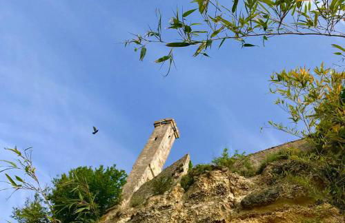 Le Gite de la Loire - Photo 4