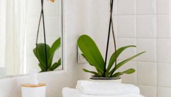 Spacious 3-Bedroom Apartment with Courtyard in Tempio Pausania - Perfect for Families - Foto 4