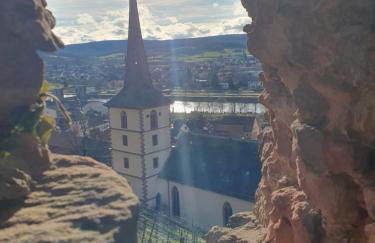 Zwischen Frankfurt und Würzburg im schönen Odenwald - Foto 24