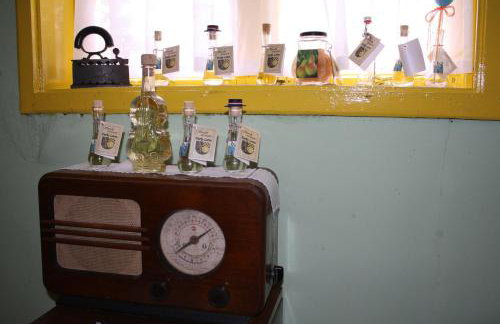 Seoski Turiziam Larva - Photo 35