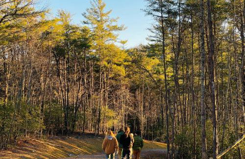 The Overlook at Valley Bear Farms - Foto 44