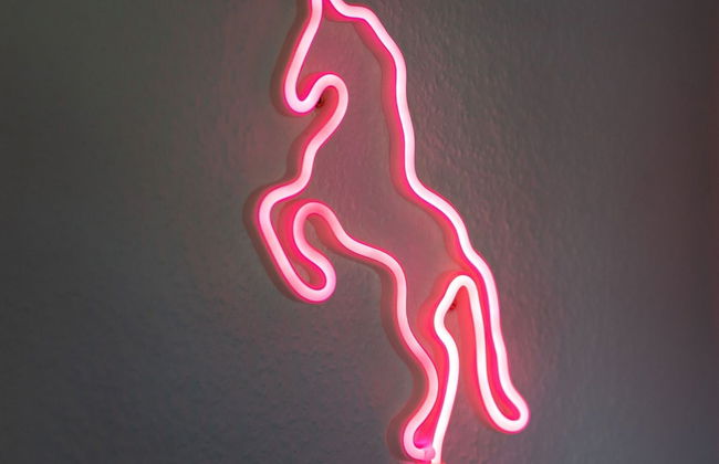 Landhaus in Vollerwiek - Foto 23