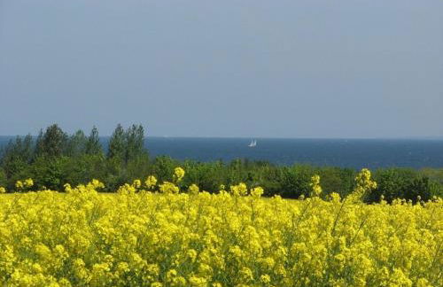 Ferienglück am See - ABC288 - nur Feriengäste! - Foto 21