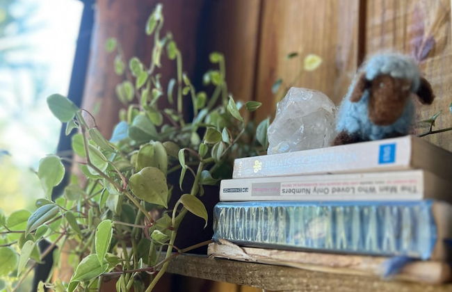 YAAHOO ECOLODGE - Foto 25