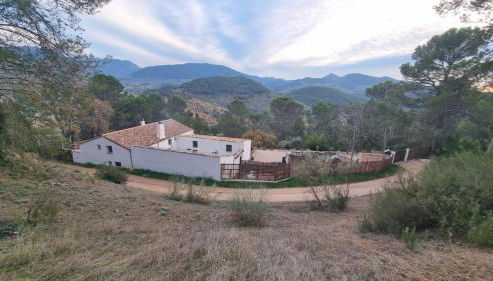 Cortijo Castillo de peñafleita - Foto 3