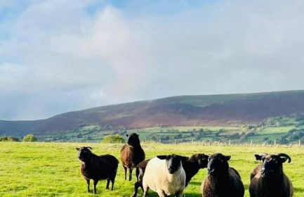 Spacious Cottage - Sleeps 4 - in the Black Mountains - Photo 39