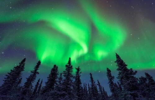 Sneaky Moose Townhome 2BR 2BA - Foto 42