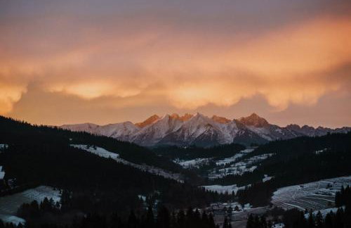 Los Road House - Foto 19