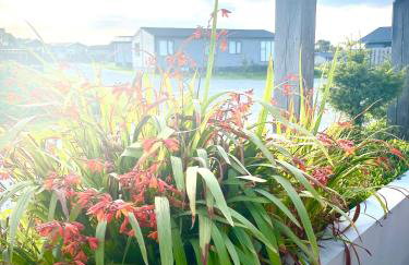 Stones Throw Lodge - Foto 35