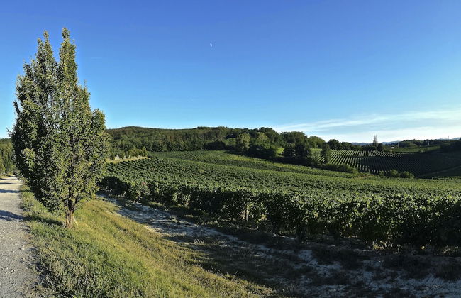 La Tenuta La Meirana - Photo 18