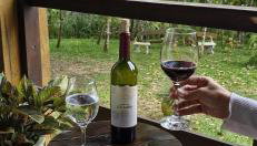 Recanto da Felicidade - Foto 5