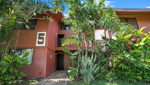 Comodidade do alojamento