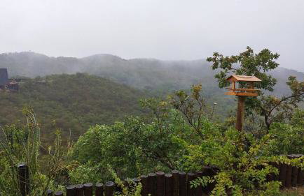 Chácara Recanto Vista Verde - 20 minutos do Plano Piloto - Foto 59