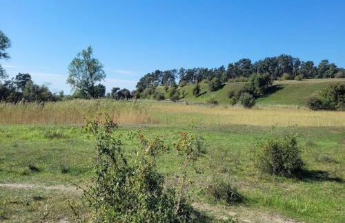 Farmstay Neuendorfkrug, Lütow - Foto 21