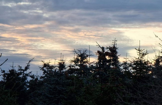 Luxury Spa Retreat in Thorsager - By Traum Ferienwohnungen - Photo 8