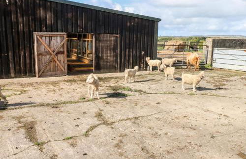 Saddlers Cottage, Berllandeg Farm - Foto 26