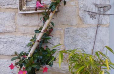 Au charmant chablis - Foto 19