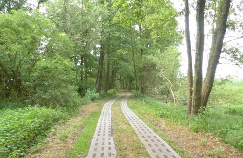 Jagdhaus Franz - Foto 7