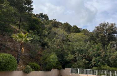 Splendide vue mer - Foto 11