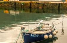 The Cottage By The Sea, Scotland - Photo 24