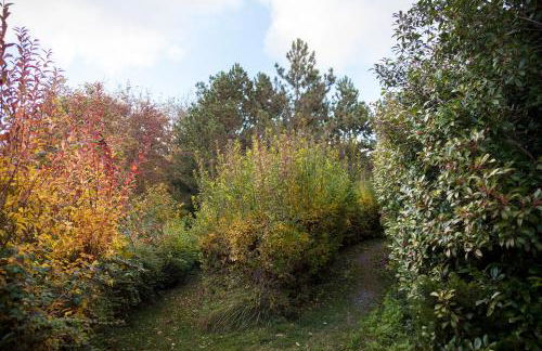 El Refugi de les Basses - Foto 49