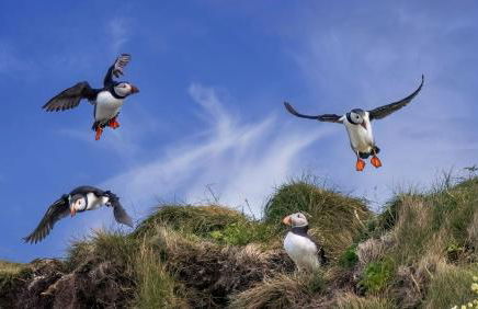 Orkney Retreats Island Farmhouses & Cottages - Photo 13