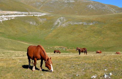 Casa Martin , 4 bedroom villa - Foto 66