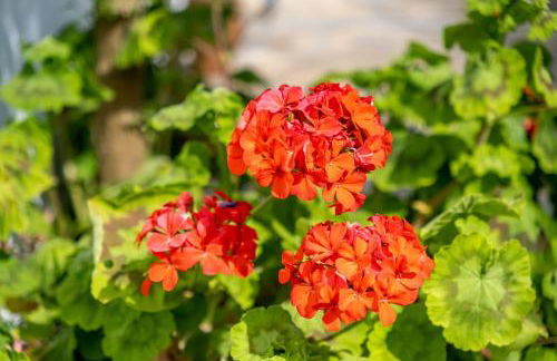 Aqueduct View House - Foto 23