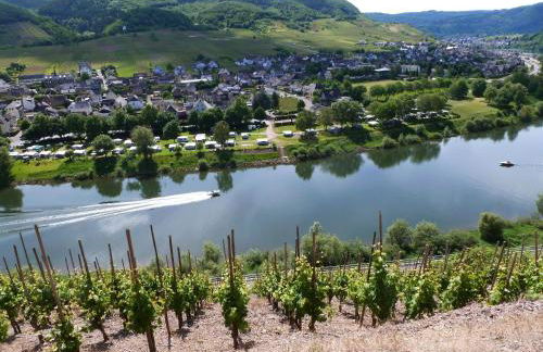 Ferienwohnungen Am Bruttiger Moselsteig - Foto 73