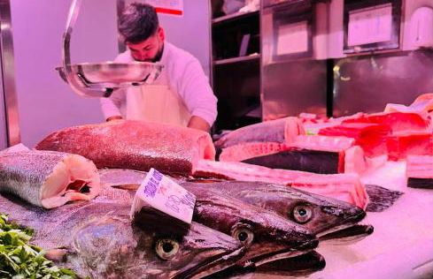 Sport2Relax Guesthouse Cabeço d'Or - Foto 27