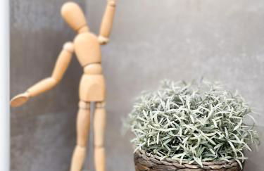 Casa Sonrisa-Ferienhaus mit eigenem Pool Urlaub für Familien und begeisterte Golfspieler - Photo 26