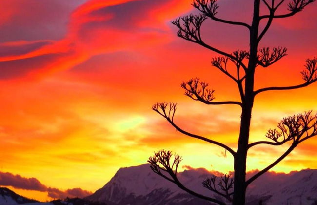 Relaxing Retreat in Le Marche - Photo 30