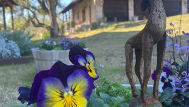 V700 Ranch Stays (Guesthouse)-A Tucked Away Gem - Foto 2